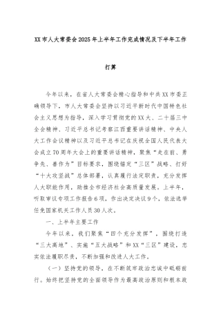 XX市人大常委会2025年上半年工作完成情况及下半年工作打算