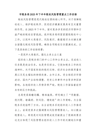 市税务局2025年下半年税收风险管理重点工作安排