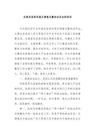 在落实省委巡视反馈意见整改动员会的讲话