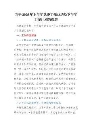关于2025年上半年党委工作总结及下半年工作计划的报告