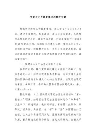 党委书记专题查摆问题整改方案