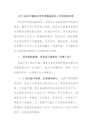 关于2025年镇机关党支部强基固本工作的经验材料