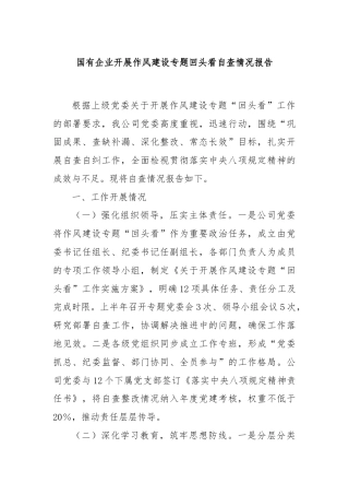 国有企业开展作风建设专题回头看自查情况报告