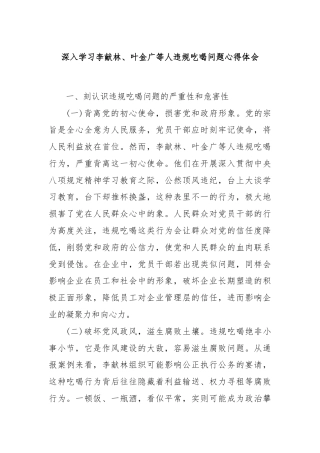 深入学习李献林、叶金广等人违规吃喝问题心得体会