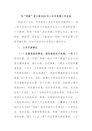 市“两新”党工委2025年上半年党建工作总结