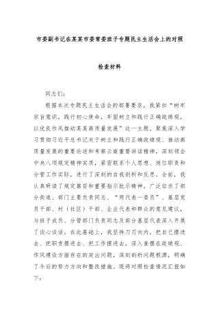 市委副书记在某某市委常委班子专题民主生活会上的对照检查材料