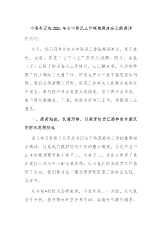 市委书记在2025年全市防汛工作视频调度会上的讲话