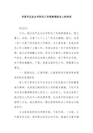 市委书记在全市防汛工作视频调度会上的讲话