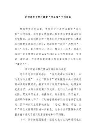 团市委关于学习教育“回头看”工作报告