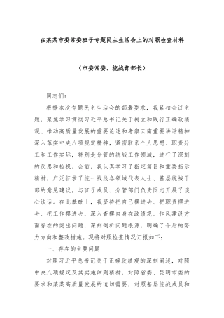 在某某市委常委班子专题民主生活会上的对照检查材料（市委常委、统战部部长）