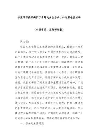 在某某市委常委班子专题民主生活会上的对照检查材料（市委常委、宣传部部长）