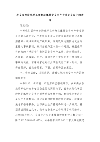 在全市危险化学品和烟花爆竹安全生产专委会会议上的讲话