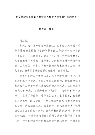 在全县政府系统集中整治问题整改“回头看”专题会议上的讲话（精品）