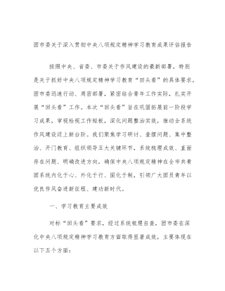 团市委关于深入贯彻中央八项规定精神学习教育成果评估报告