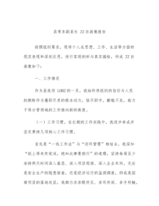 县常务副县长 ZZ自画像报告