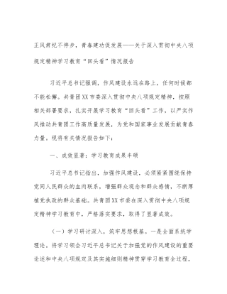 正风肃纪不停步，青春建功促发展——关于深入贯彻中央八项规定精神学习教育“回头看”情况报告