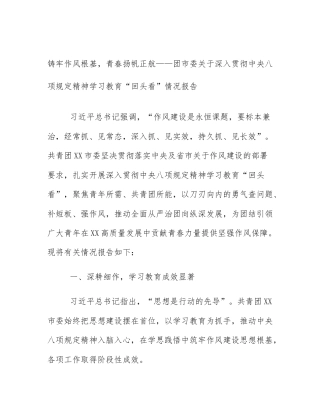 铸牢作风根基，青春扬帆正航——团市委关于深入贯彻中央八项规定精神学习教育“回头看”情况报告