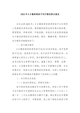 2025年X乡镇街道班子运行情况综合报告