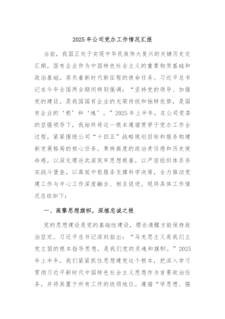 2025年公司党办工作情况汇报