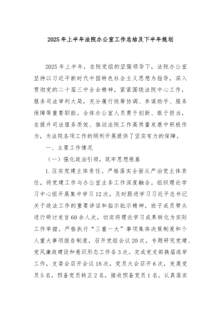 2025年上半年法院办公室工作总结及下半年规划