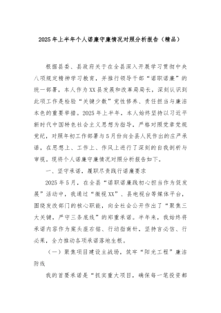 2025年上半年个人诺廉守廉情况对照分析报告（精品）