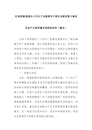 XX集团新能源分公司关于加强领导干部队伍建设聚力推进风电产业高质量发展经验材料（精品）