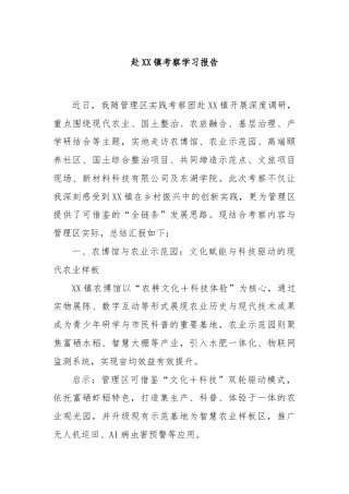 赴XX镇考察学习报告