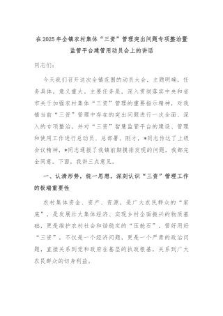 在2025年全镇农村集体“三资”管理突出问题专项整治暨监管平台建管用动员会上的讲话