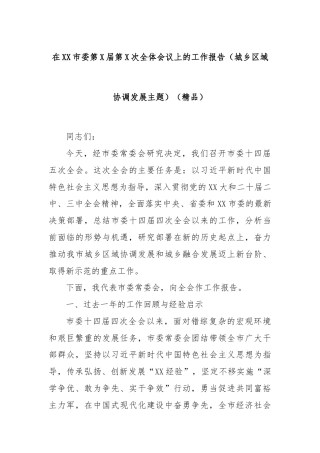 在XX市委第X届第X次全体会议上的工作报告（城乡区域协调发展主题）（精品）