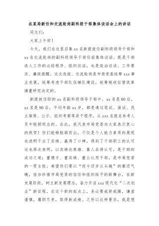 在某局新任和交流轮岗副科级干部集体谈话会上的讲话