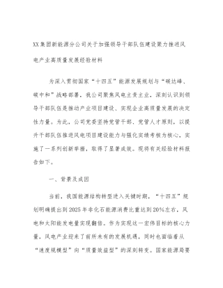 XX集团新能源分公司关于加强领导干部队伍建设聚力推进风电产业高质量发展经验材料