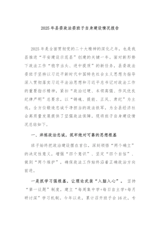 2025年县委政法委班子自身建设情况报告