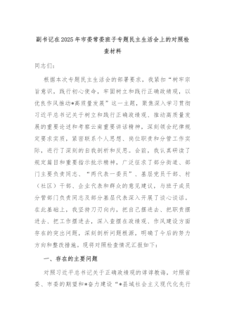 副书记在2025年市委常委班子专题民主生活会上的对照检查材料