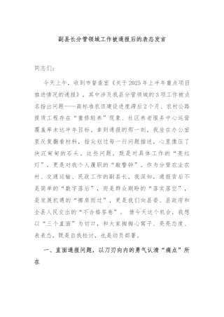 副县长分管领域工作被通报后的表态发言