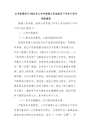 公司党委关于2025年上半年党委工作总结及下半年工作计划的报告
