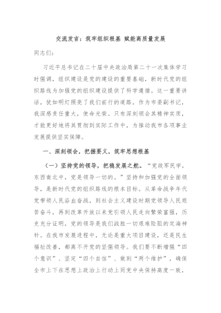 交流发言：筑牢组织根基 赋能高质量发展