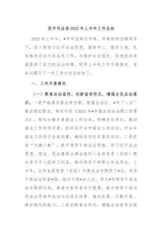 某市司法局2025年上半年工作总结
