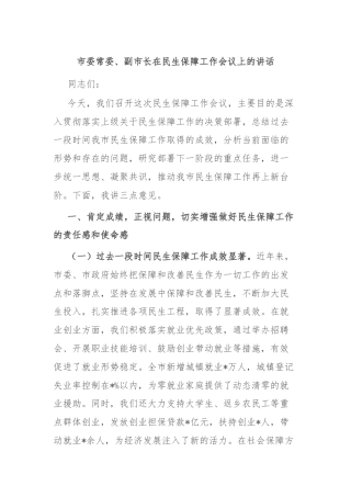 市委常委、副市长在民生保障工作会议上的讲话