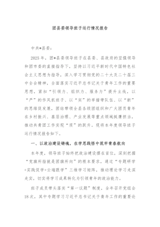 团县委领导班子运行情况报告