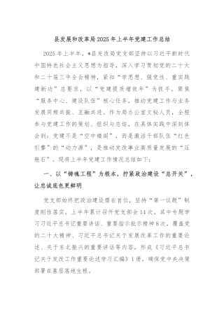 县发展和改革局2025年上半年党建工作总结