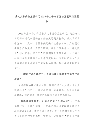 县人大常委会党组书记2025年上半年管党治党履职情况报告
