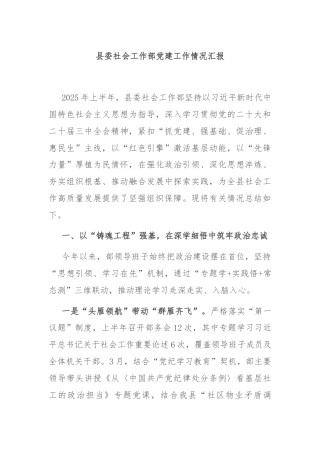 县委社会工作部党建工作情况汇报