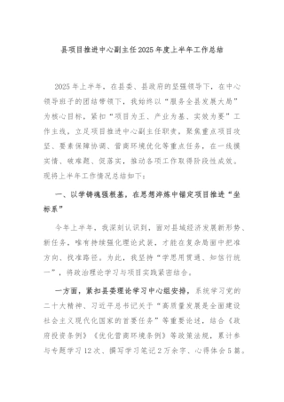 县项目推进中心副主任2025年度上半年工作总结
