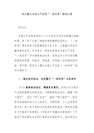 县长履行全面从严治党“一岗双责”情况汇报