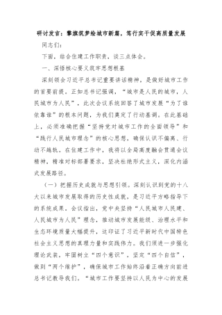 研讨发言：擎旗筑梦绘城市新篇，笃行实干促高质量发展