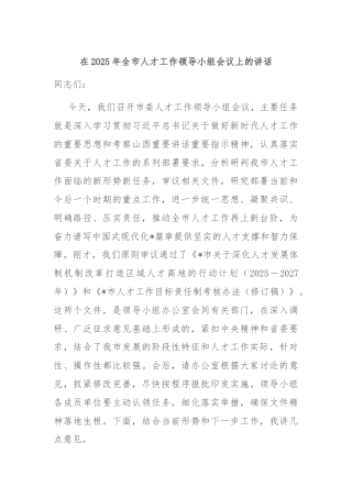 在2025年全市人才工作领导小组会议上的讲话