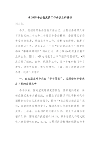 在2025年全县党委工作会议上的讲话
