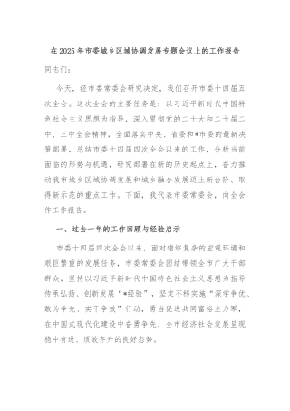 在2025年市委城乡区域协调发展专题会议上的工作报告
