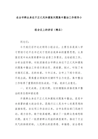 在全市群众身边不正之风和腐败问题集中整治工作领导小组会议上的讲话（精品）