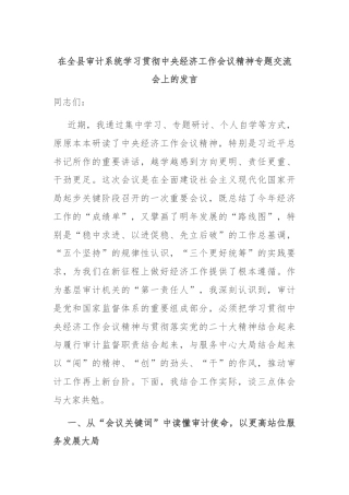 在全县审计系统学习贯彻中央经济工作会议精神专题交流会上的发言
